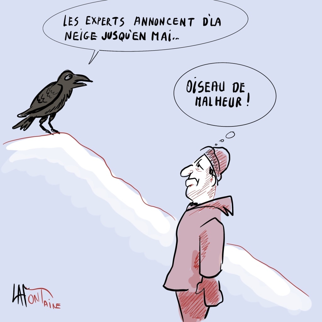 Corbeau neige